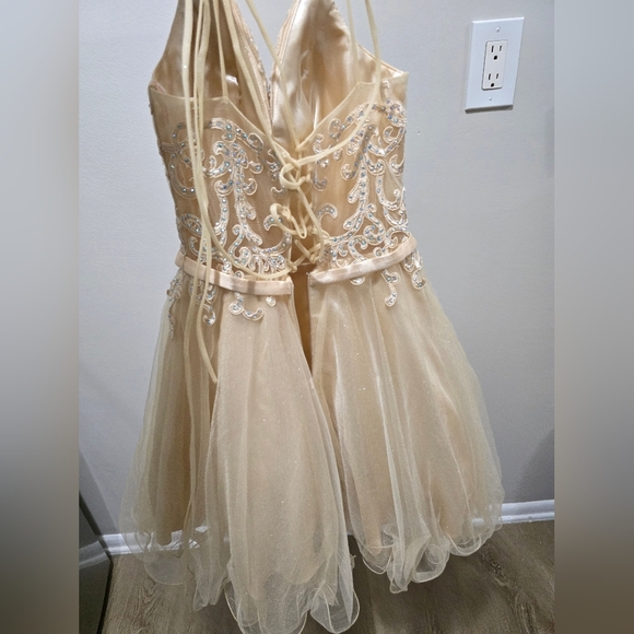 Chic Beige Embellished Gown - Picture 4 of 11